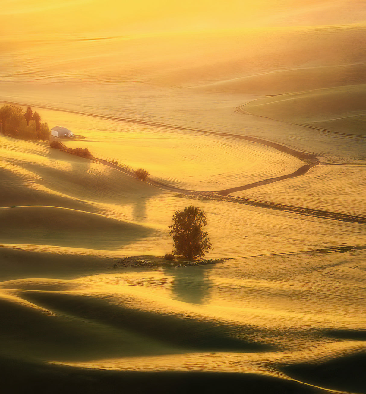 The View Of Palouse Poster och Canvastavla