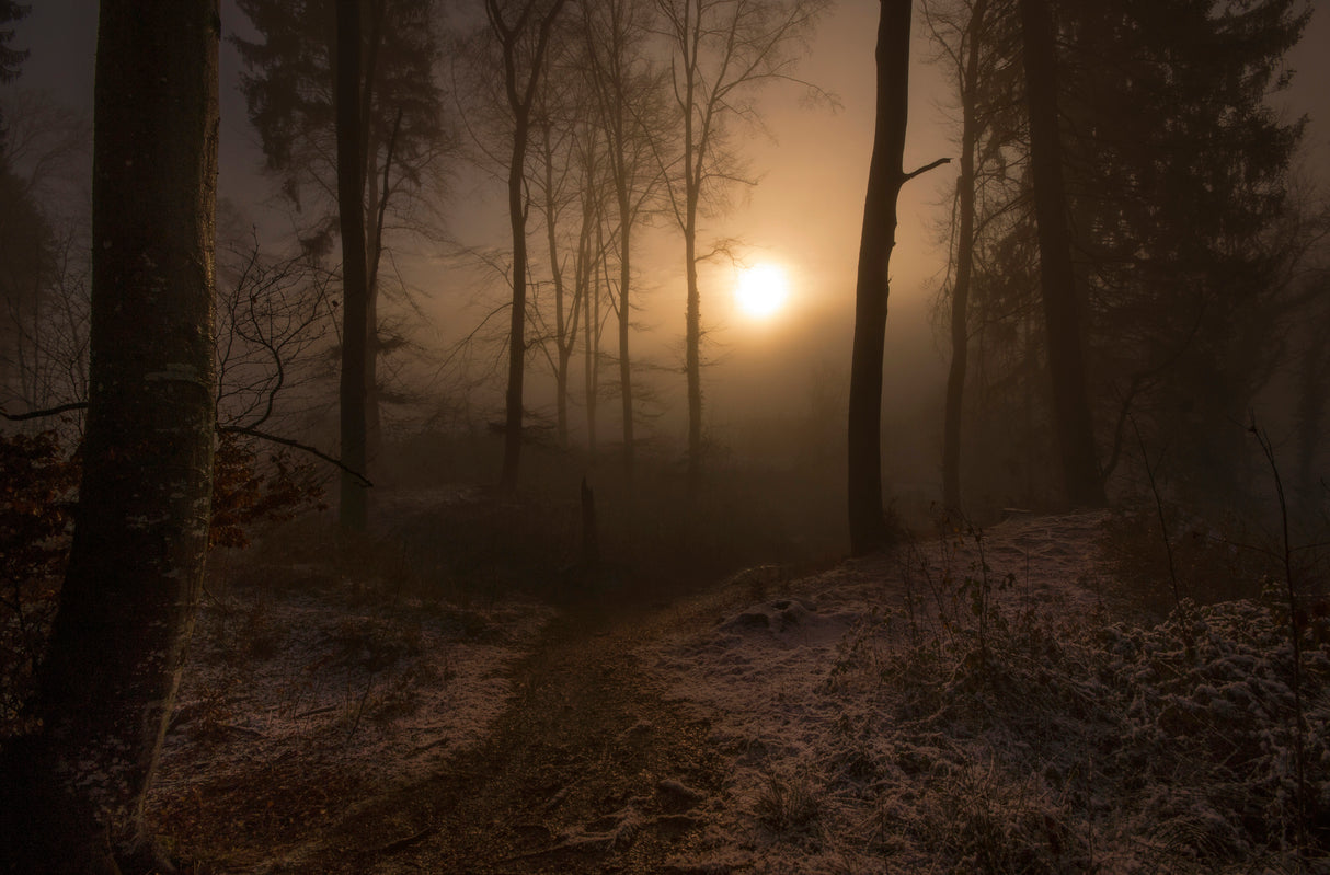 winter sunrise Poster och Canvastavla