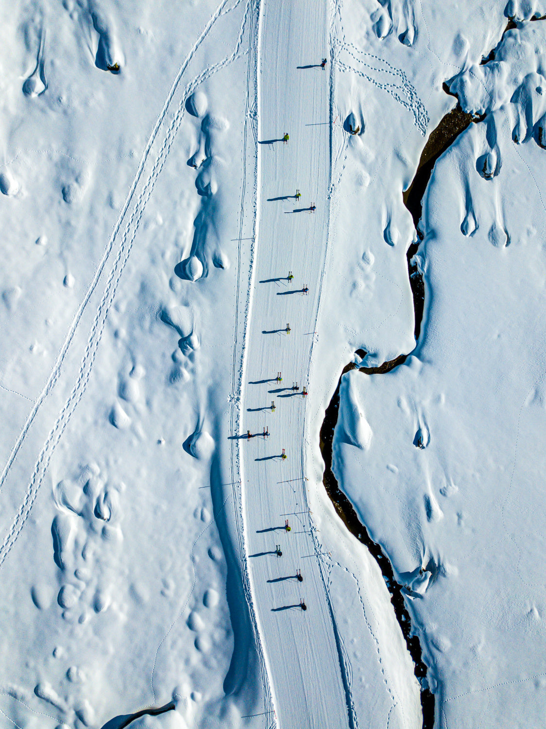 Ski time Poster och Canvastavla