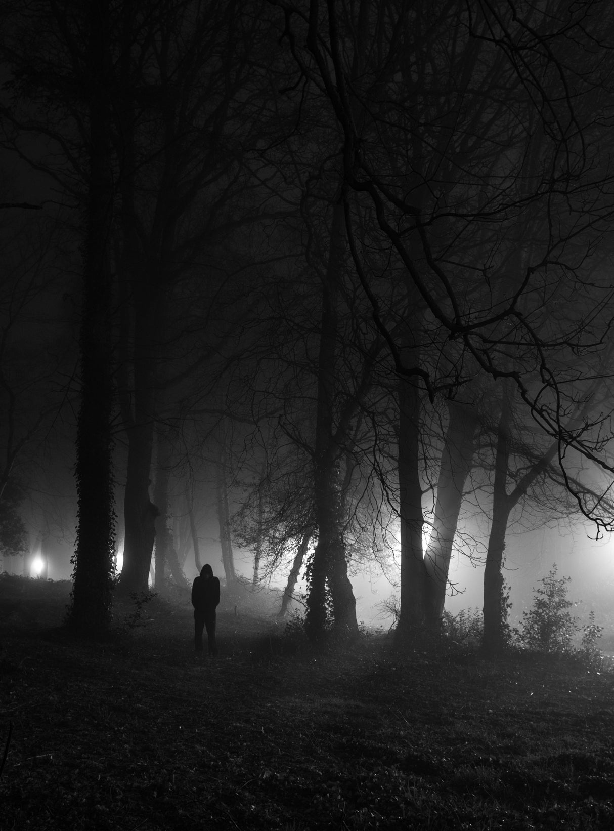 Spooky Night Poster och Canvastavla