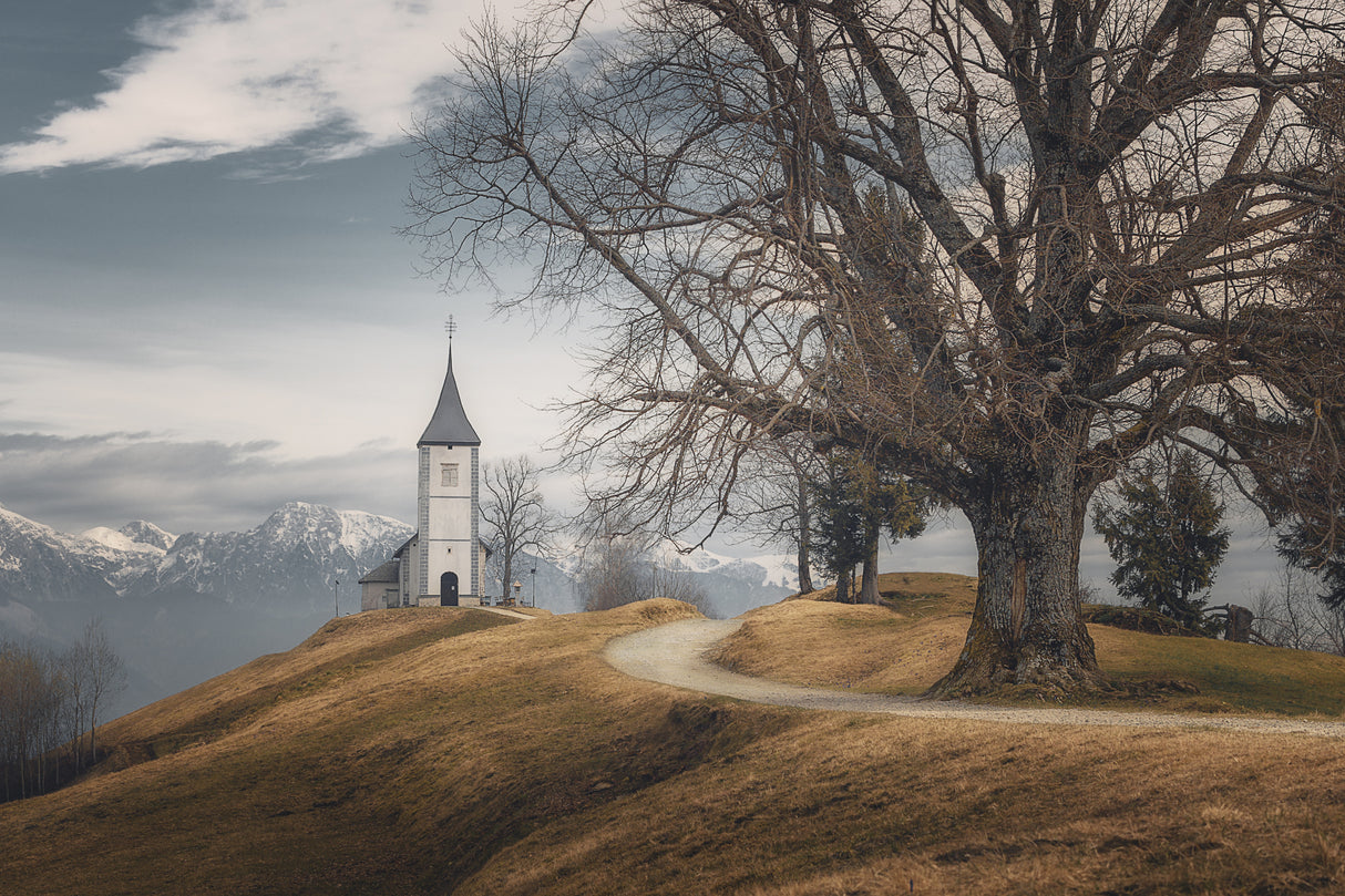 Memories of a Time to Come Poster och Canvastavla
