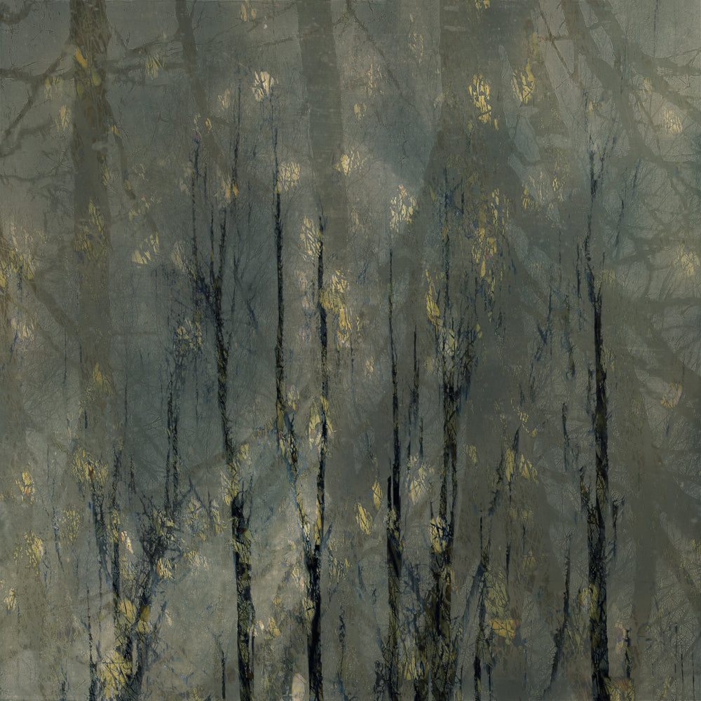 Bald trees Poster och Canvastavla