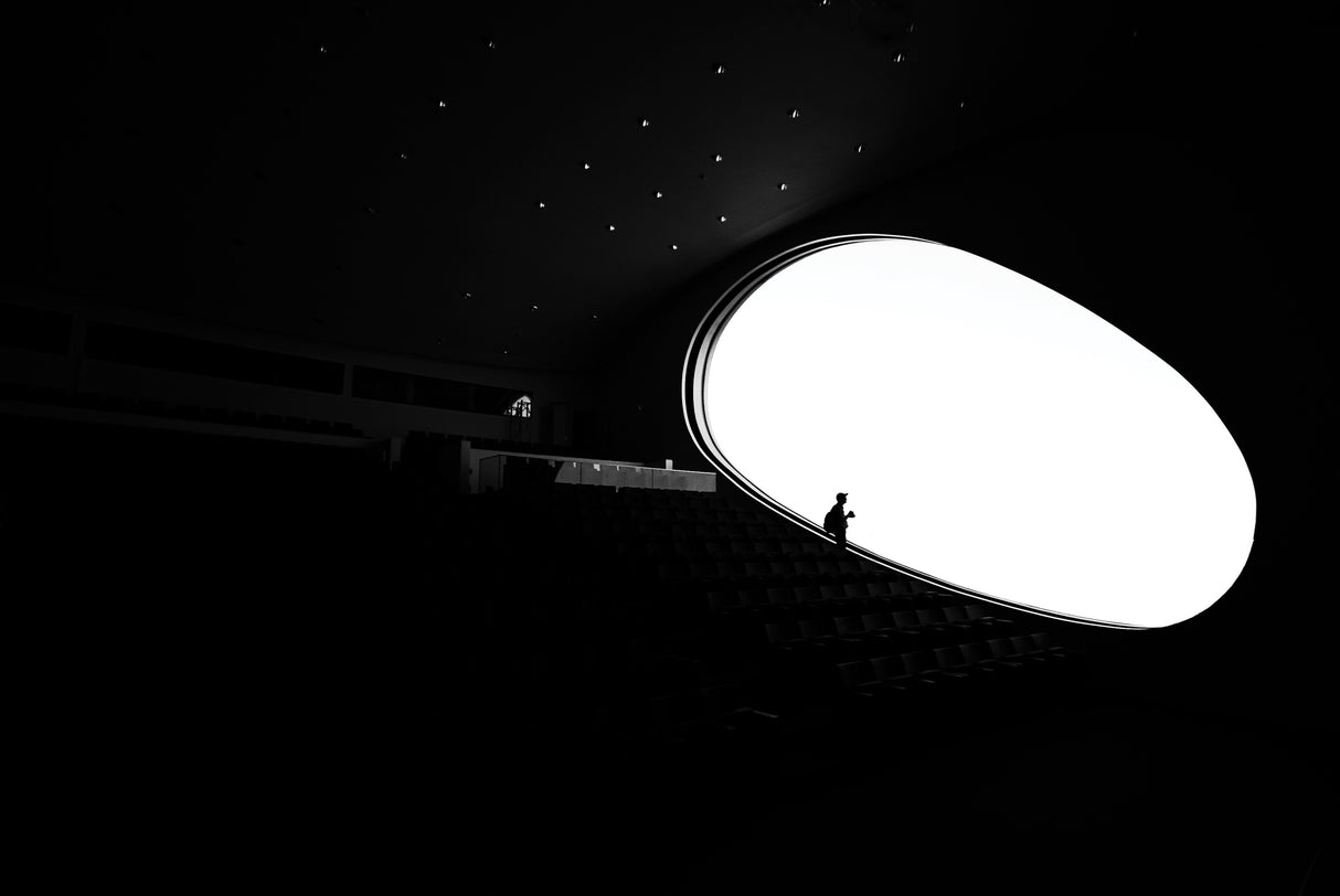 The search for light Poster och Canvastavla