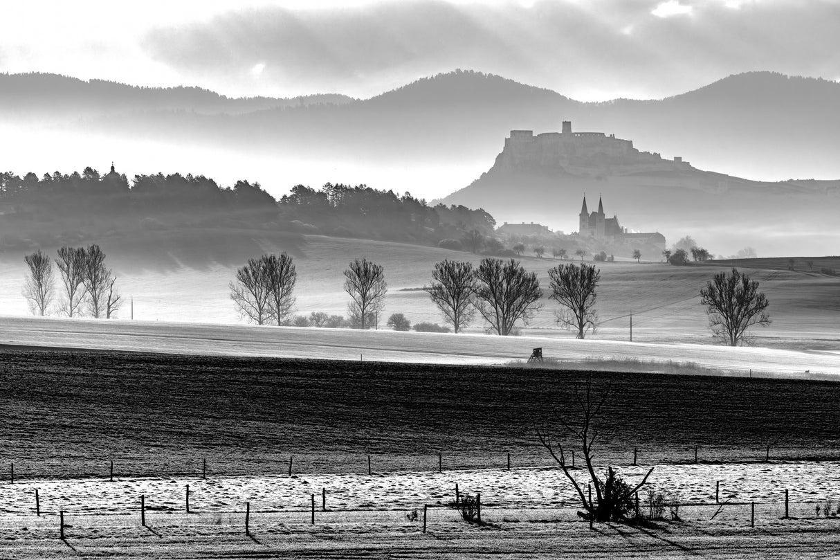 Early spring under castle Poster och Canvastavla