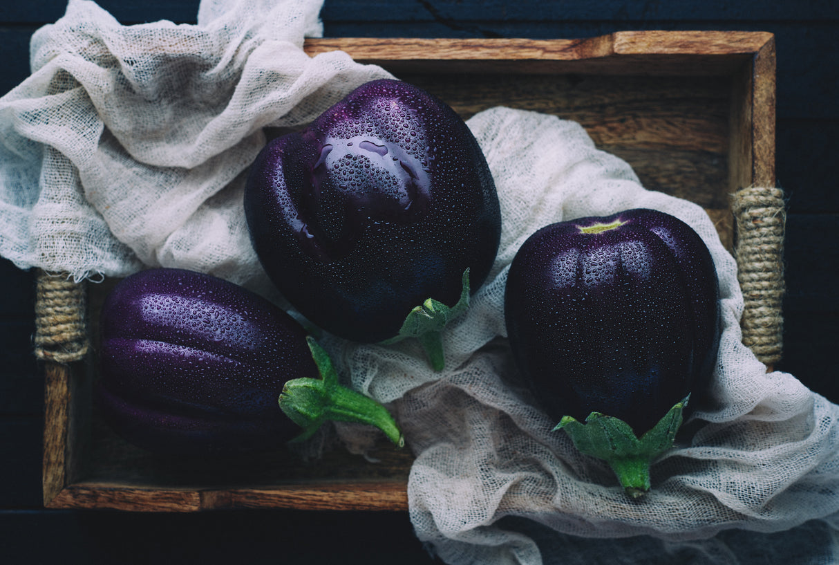 Eggplants Poster och Canvastavla