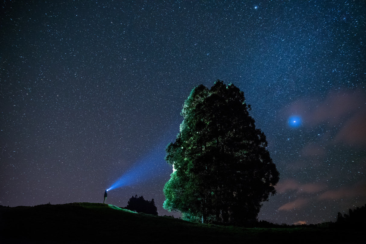 The Sky Painter Poster och Canvastavla