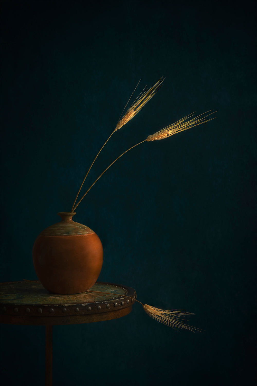 Golden Wheat Poster och Canvastavla