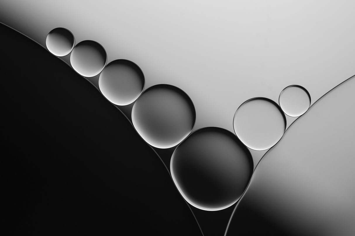 Black to White Poster och Canvastavla