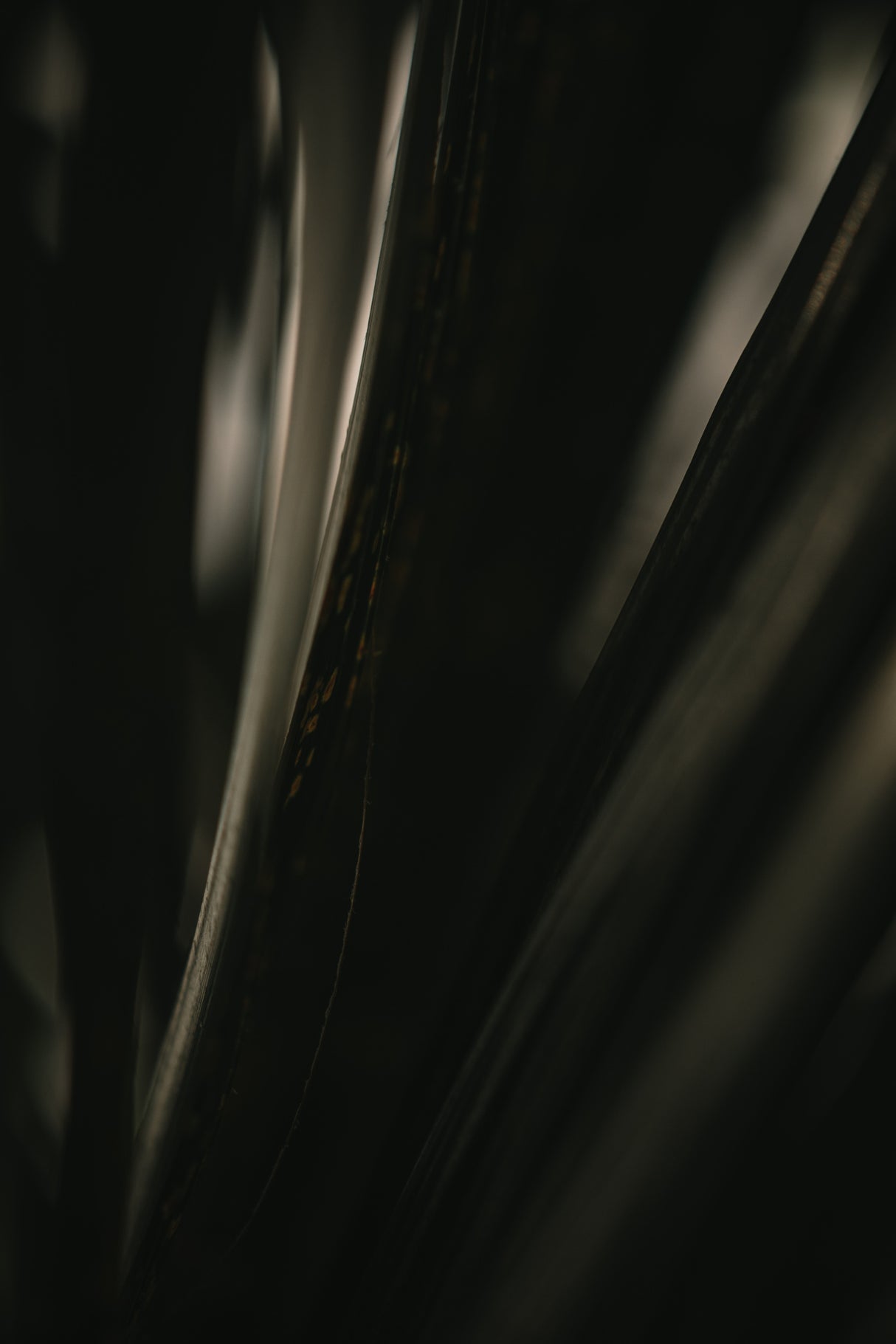 Botanical Series - Palm Leaf Poster och Canvastavla