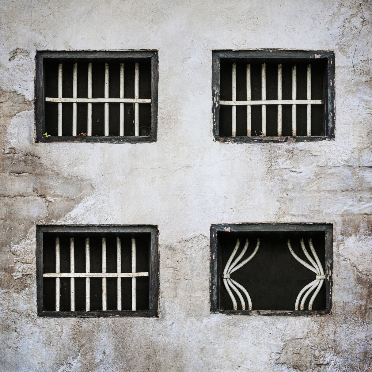 Rideau de prison Poster och Canvastavla