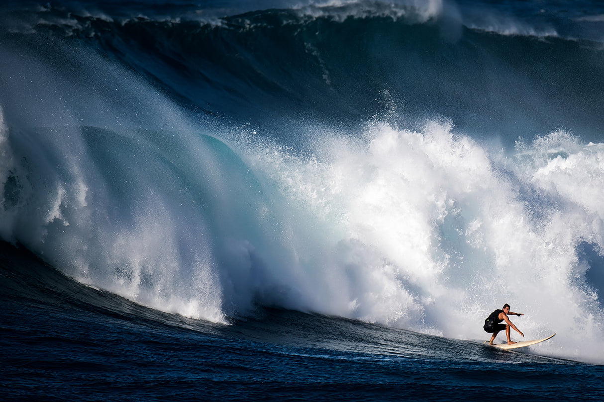 Surf Poster och Canvastavla
