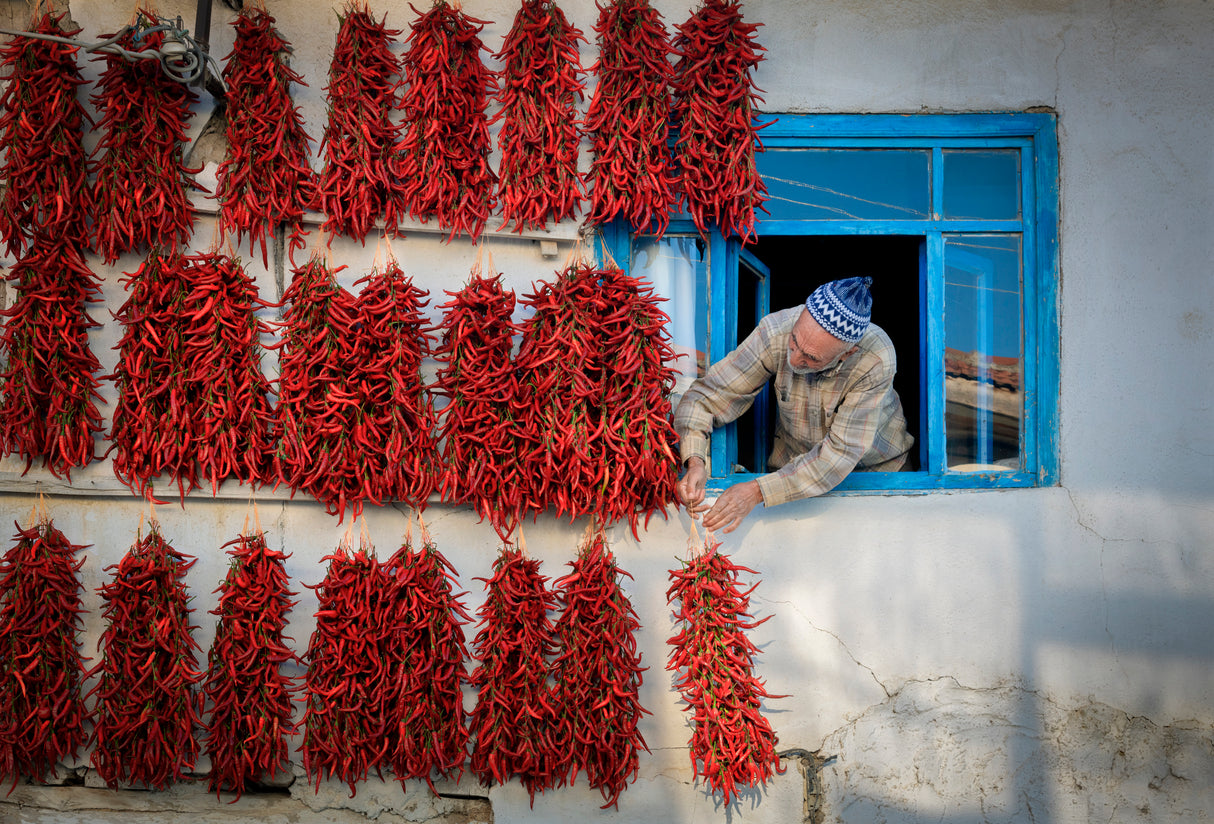 red hot pepper Poster och Canvastavla