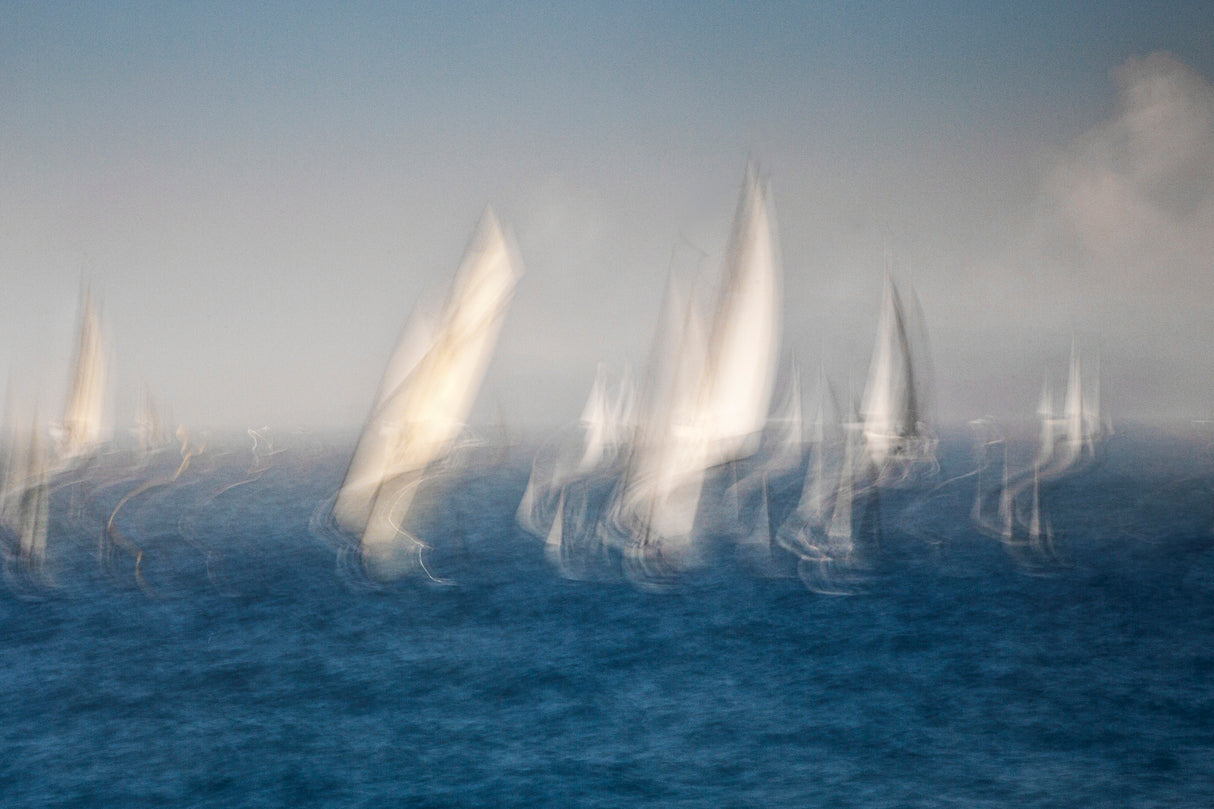 Sails Poster och Canvastavla
