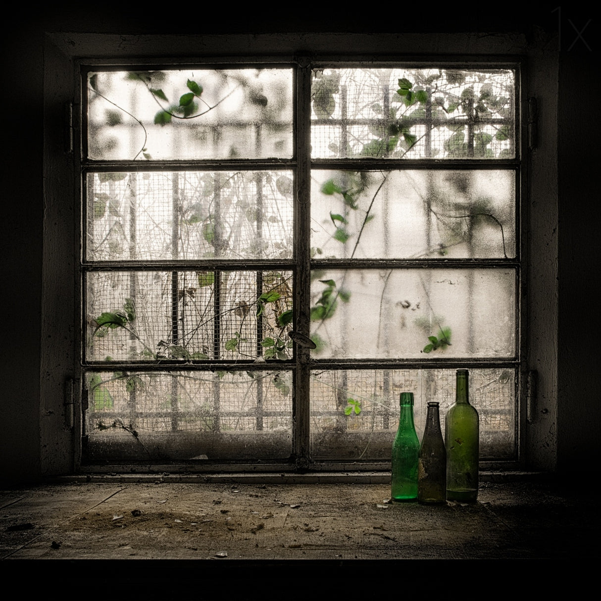 Still-Life with glass bottle Poster och Canvastavla