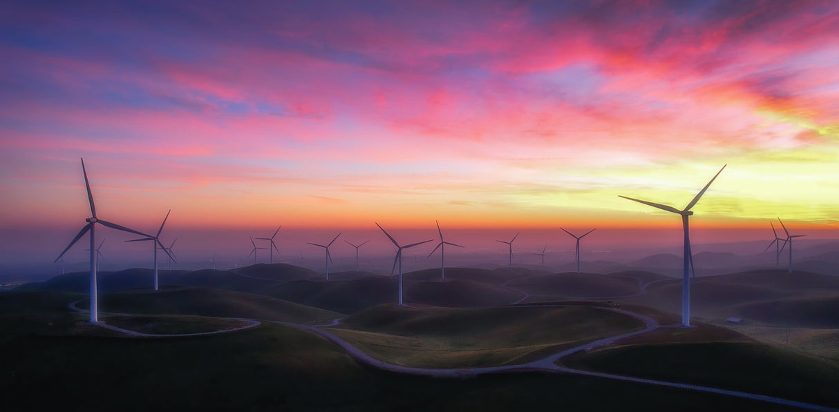 The Windmill Farm at Dawn Poster och Canvastavla