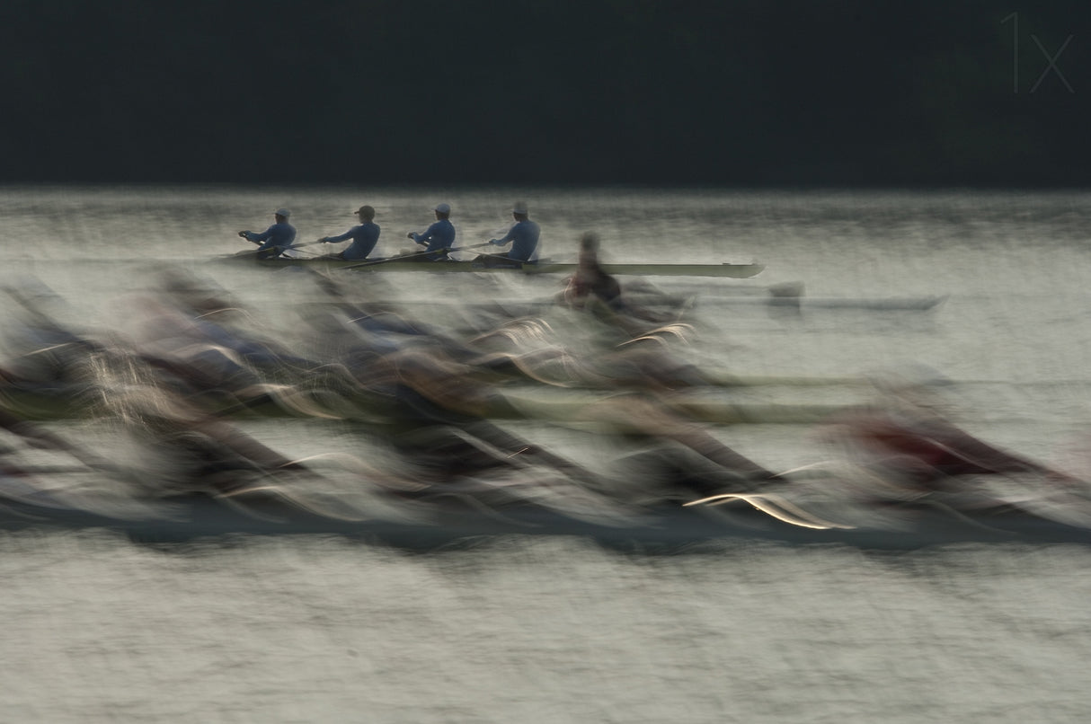 Rowing Poster och Canvastavla