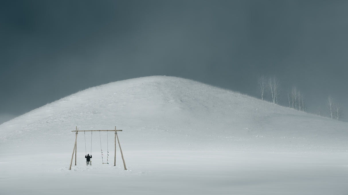 The winter swings Poster och Canvastavla
