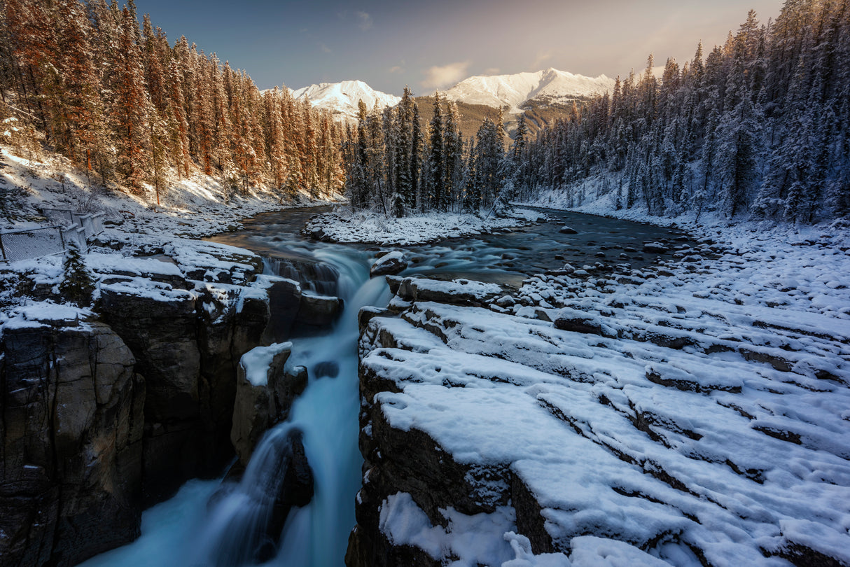 Sunlight in Sunwapta Falls Poster och Canvastavla