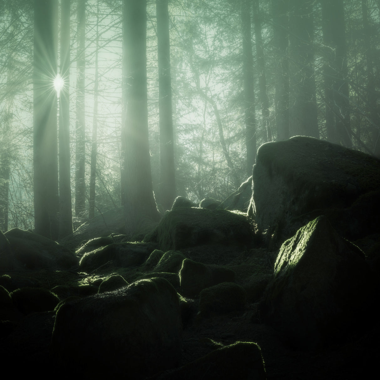 The Druids' site Poster och Canvastavla