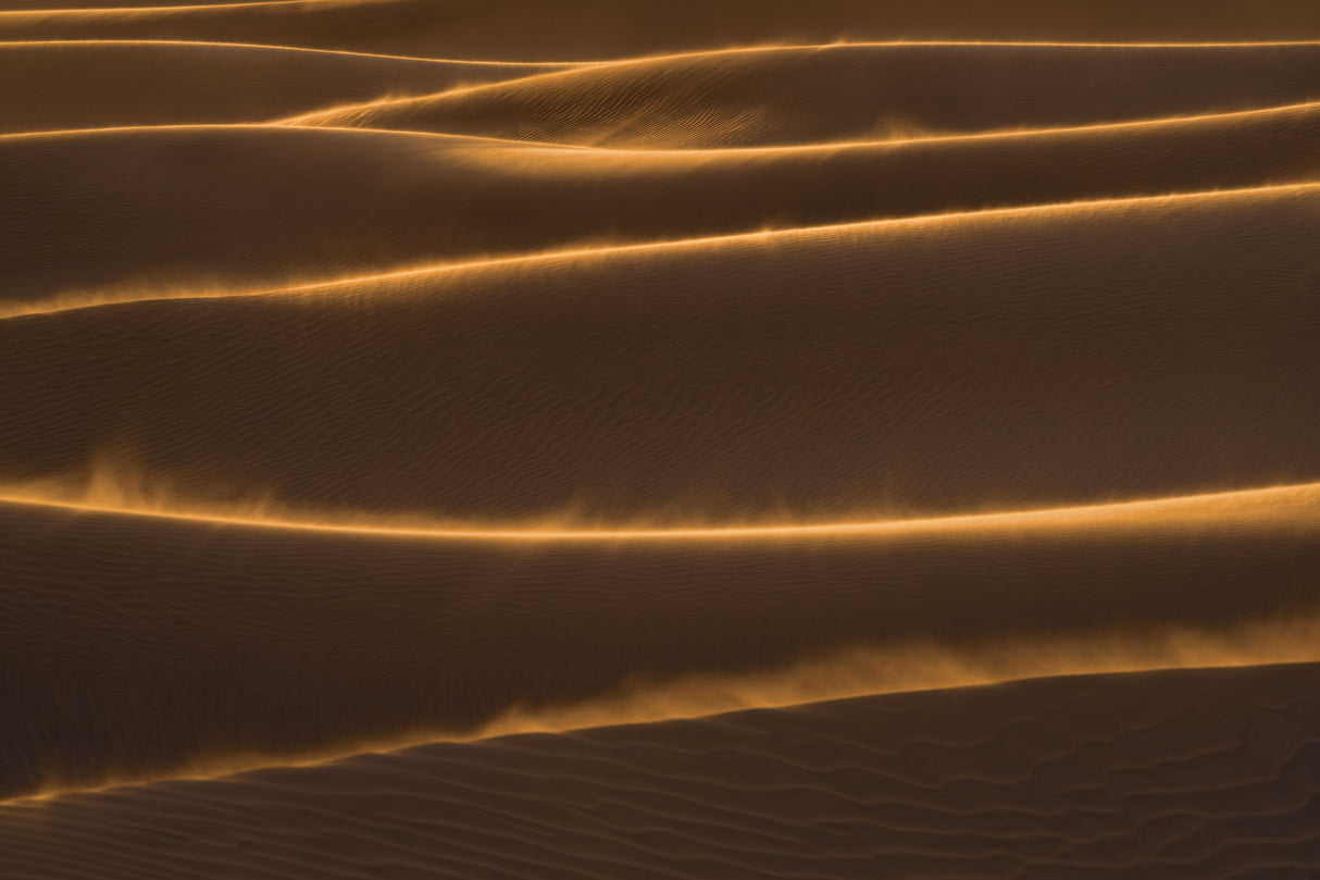 Golden Flare Sand Dunes Poster och Canvastavla