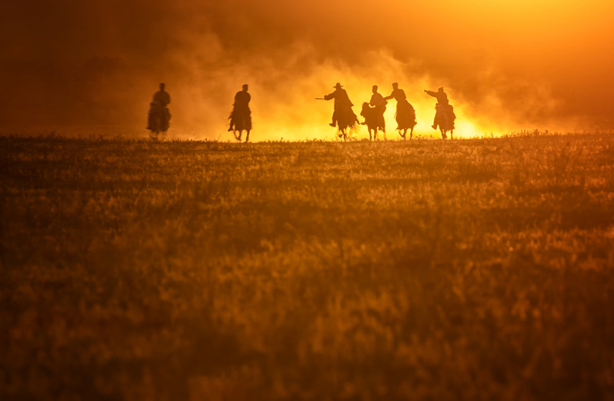 Grassland Sunset Poster och Canvastavla