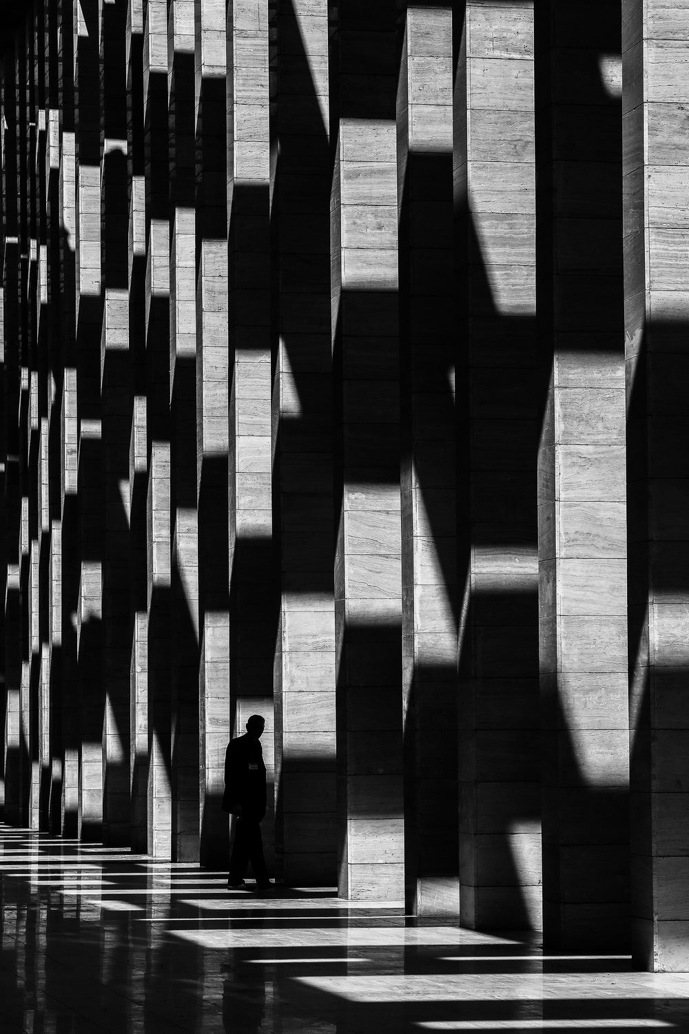 shadow Poster och Canvastavla
