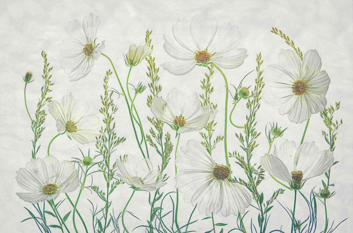 Cosmos Garden Poster och Canvastavla