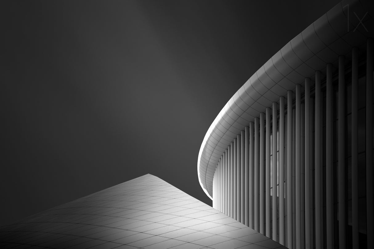 Symphony of lines Poster och Canvastavla