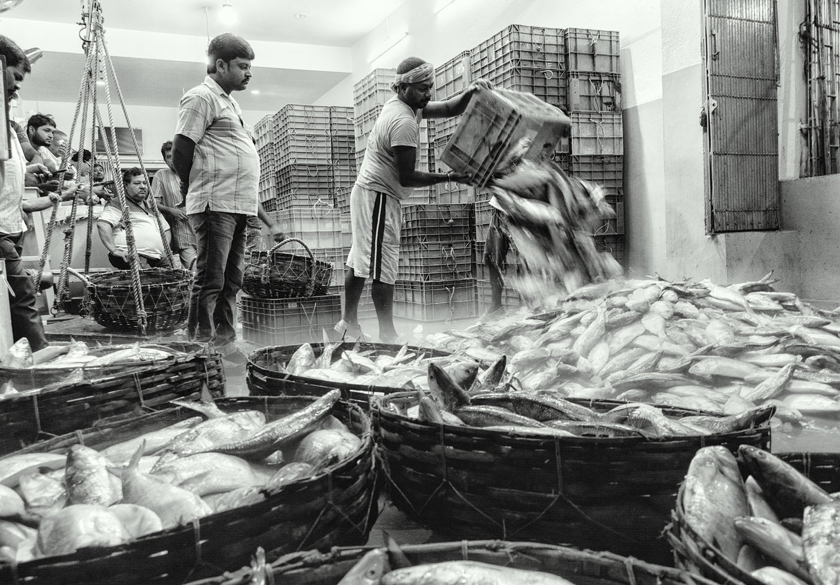 Fish Market Poster och Canvastavla