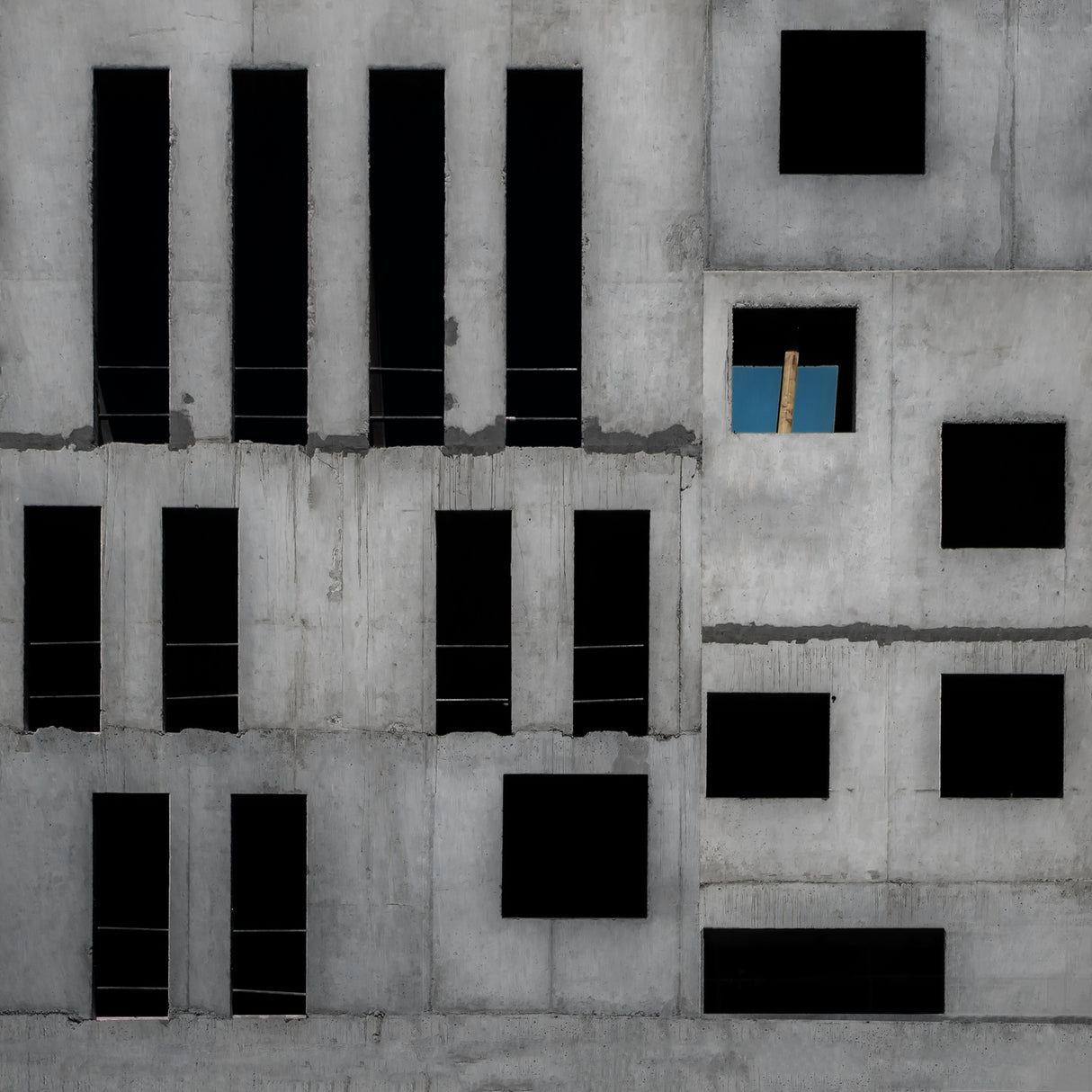 isolation cell Poster och Canvastavla