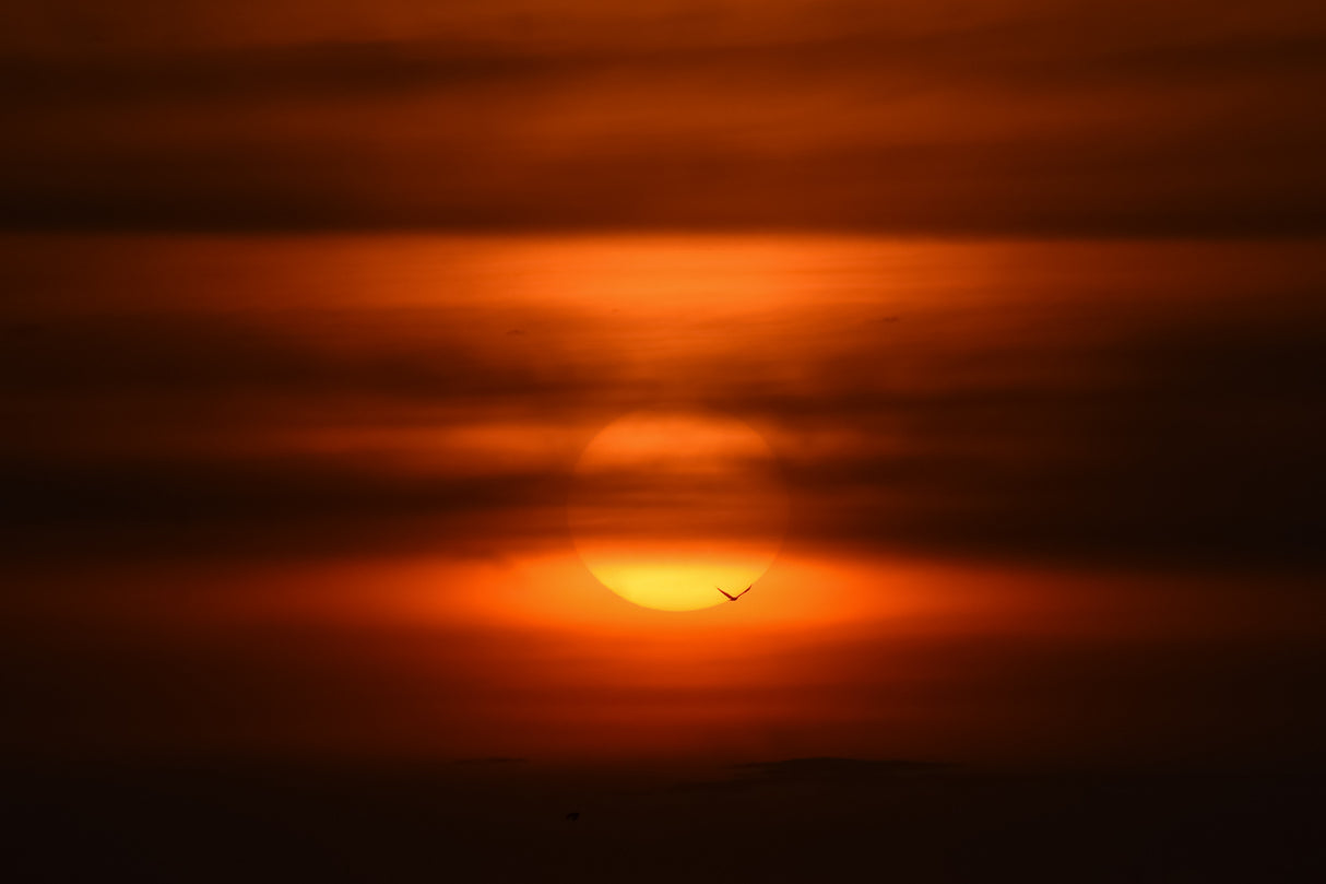 Sunset Hues Poster och Canvastavla