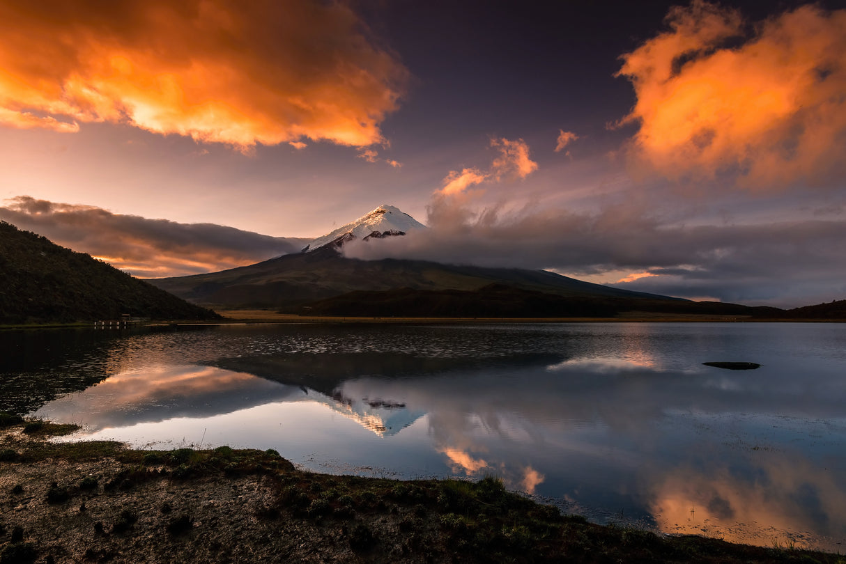 The vulcano Cotopaxi with snowy peak in the morning light Poster och Canvastavla