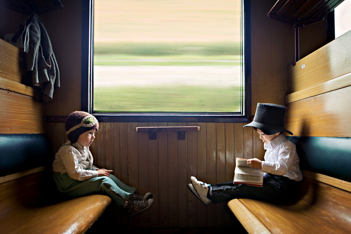 The prince and tha pauper Poster och Canvastavla
