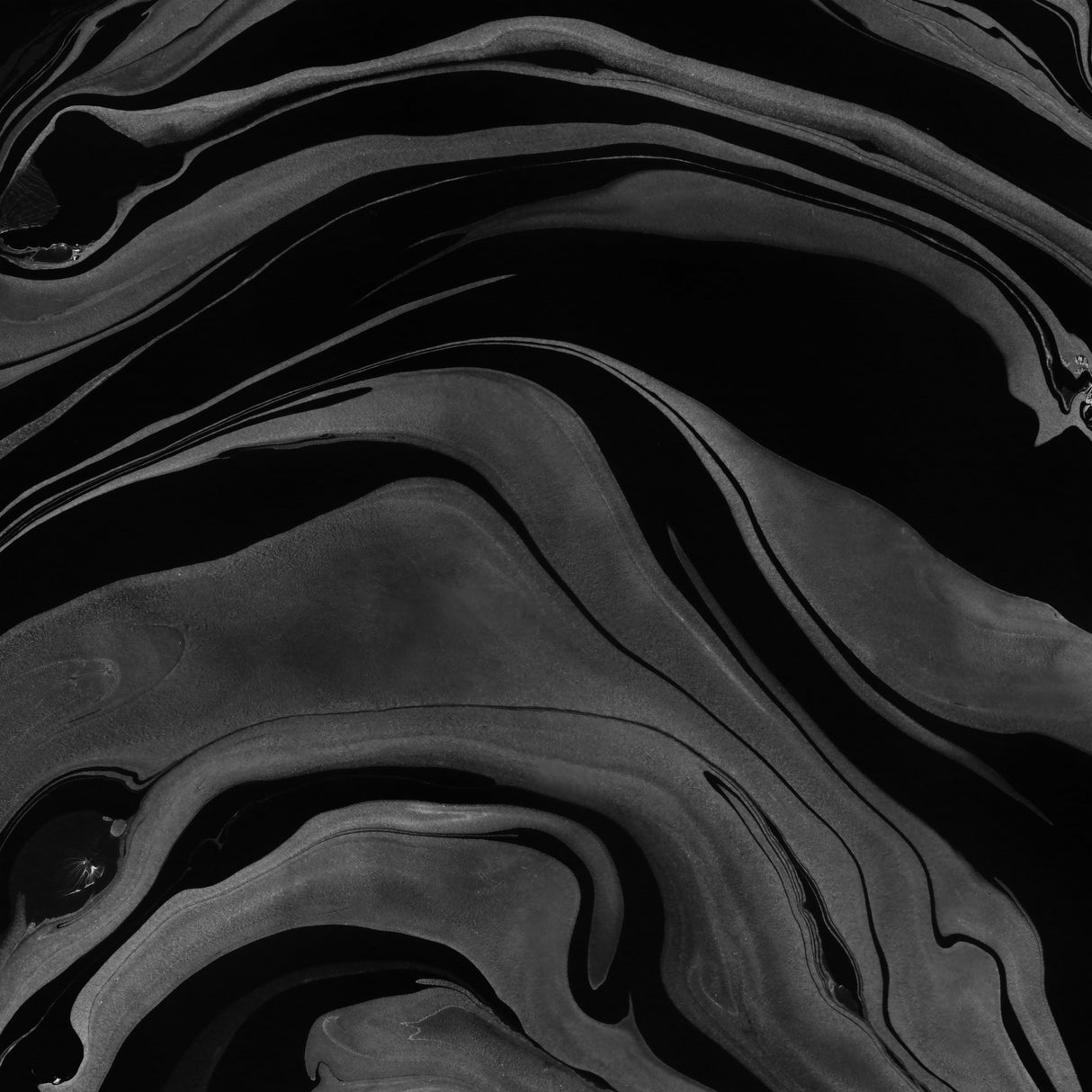 Ink Marbling Black and White 08 Poster och Canvastavla