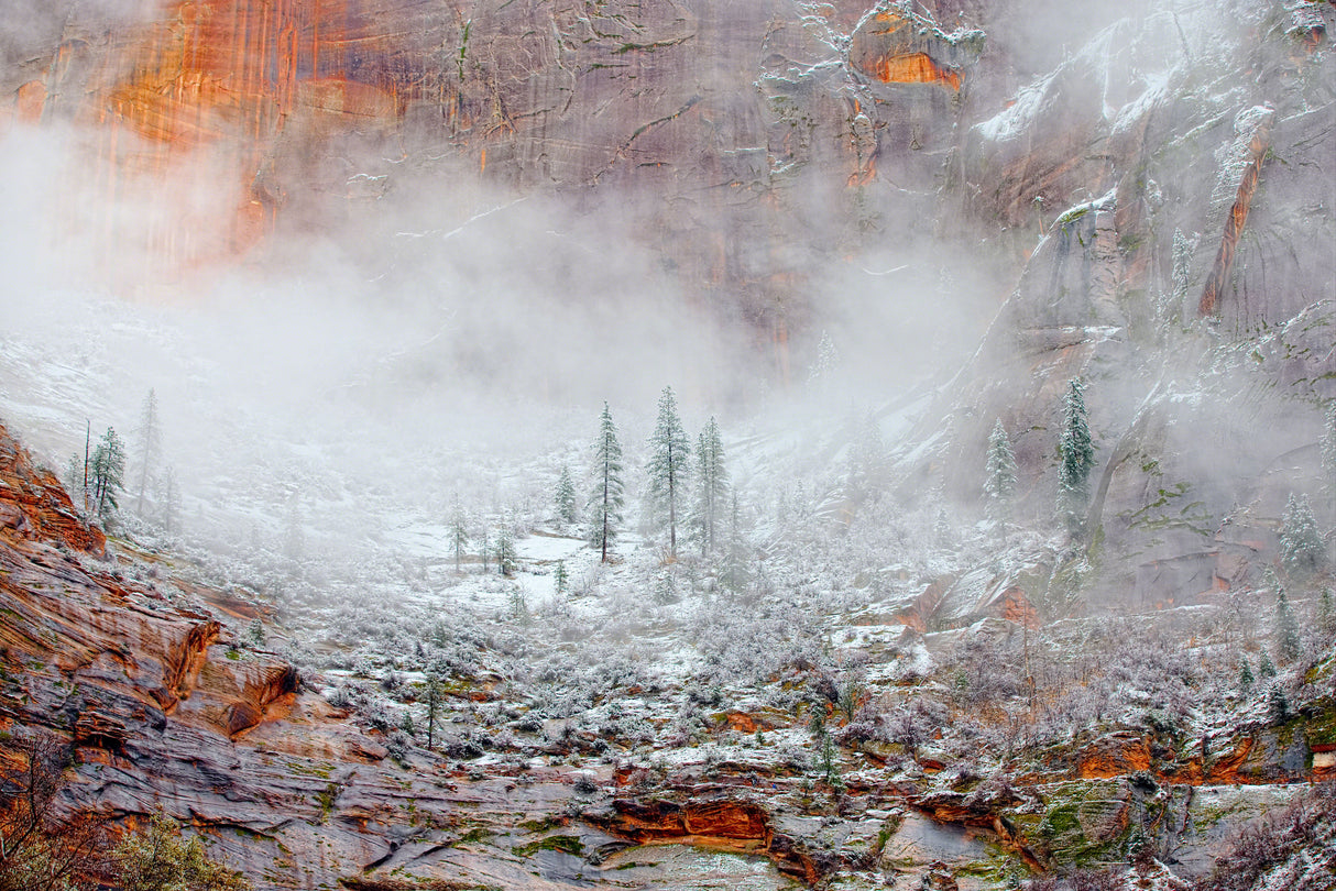 Snow in Zion National Park, Utah Poster och Canvastavla