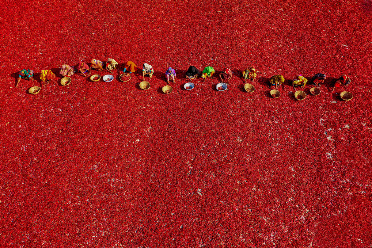 Red carpet Poster och Canvastavla
