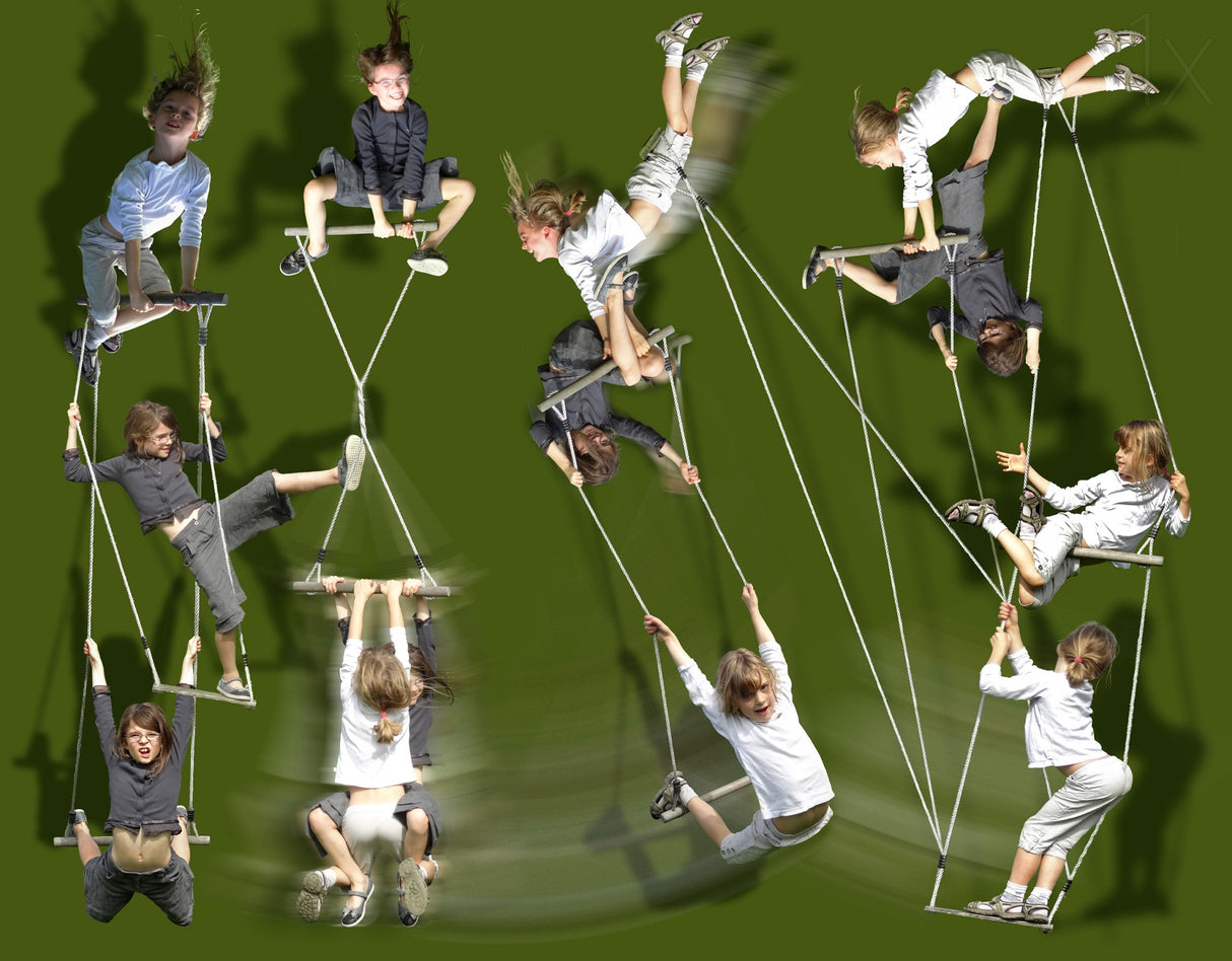 Acrobaties alternatives Poster och Canvastavla