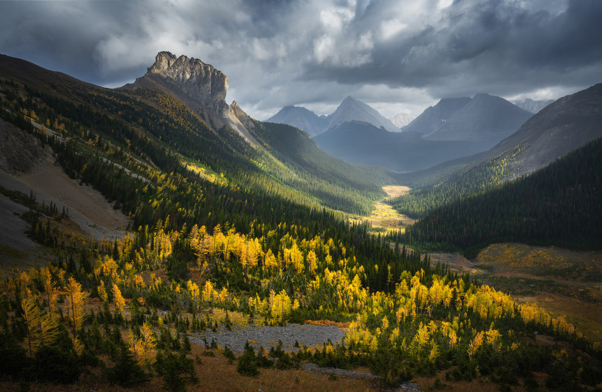 Fall of Smutwood Valley Poster och Canvastavla