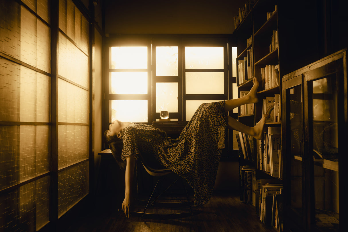 book dreams Poster och Canvastavla