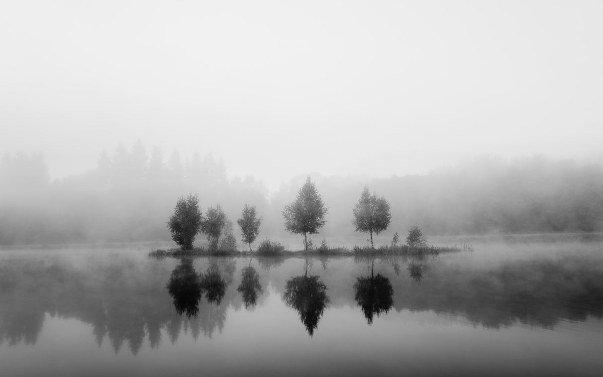 Autumn morning Poster och Canvastavla