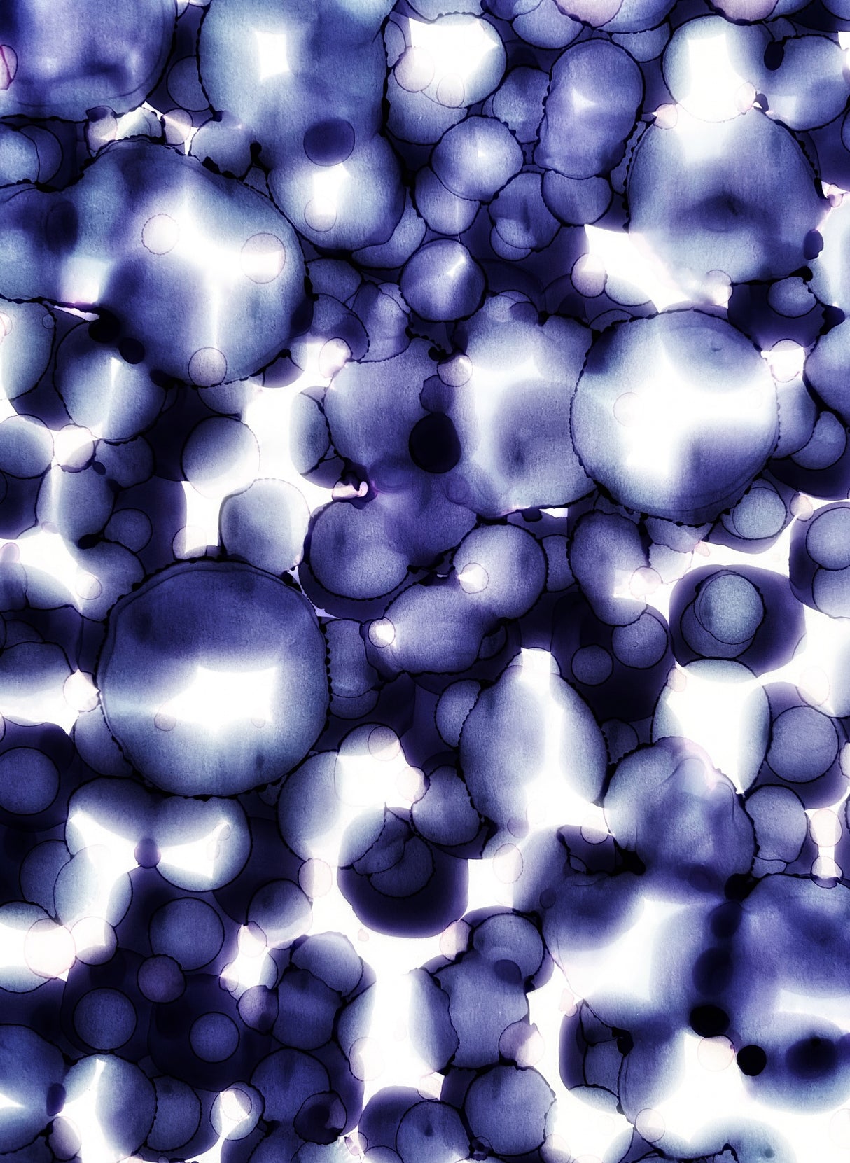 Frostbite Poster och Canvastavla