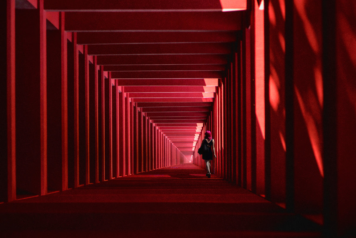 Woman in red Poster och Canvastavla