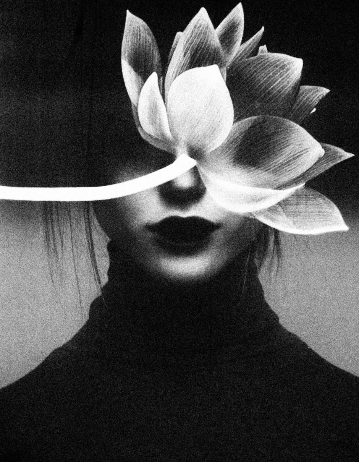 Pain like a flower blossom Poster och Canvastavla