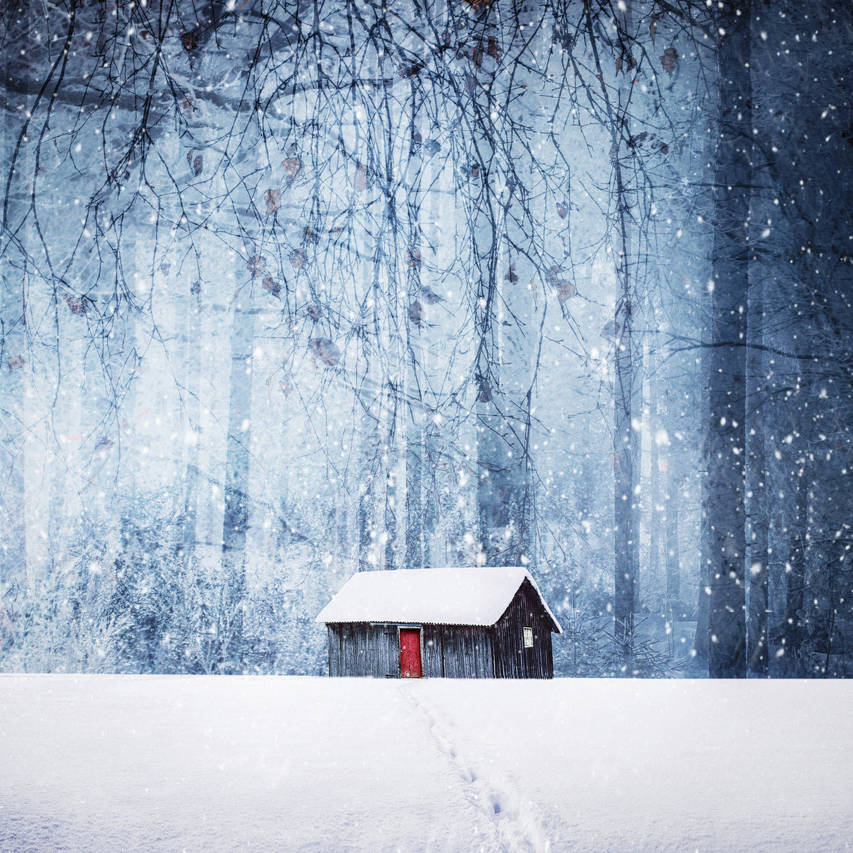 Winter Poster och Canvastavla