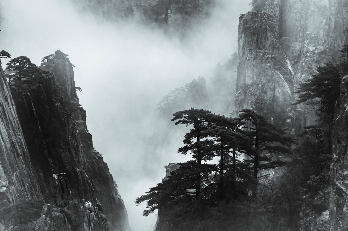 Misty mountains Poster och Canvastavla