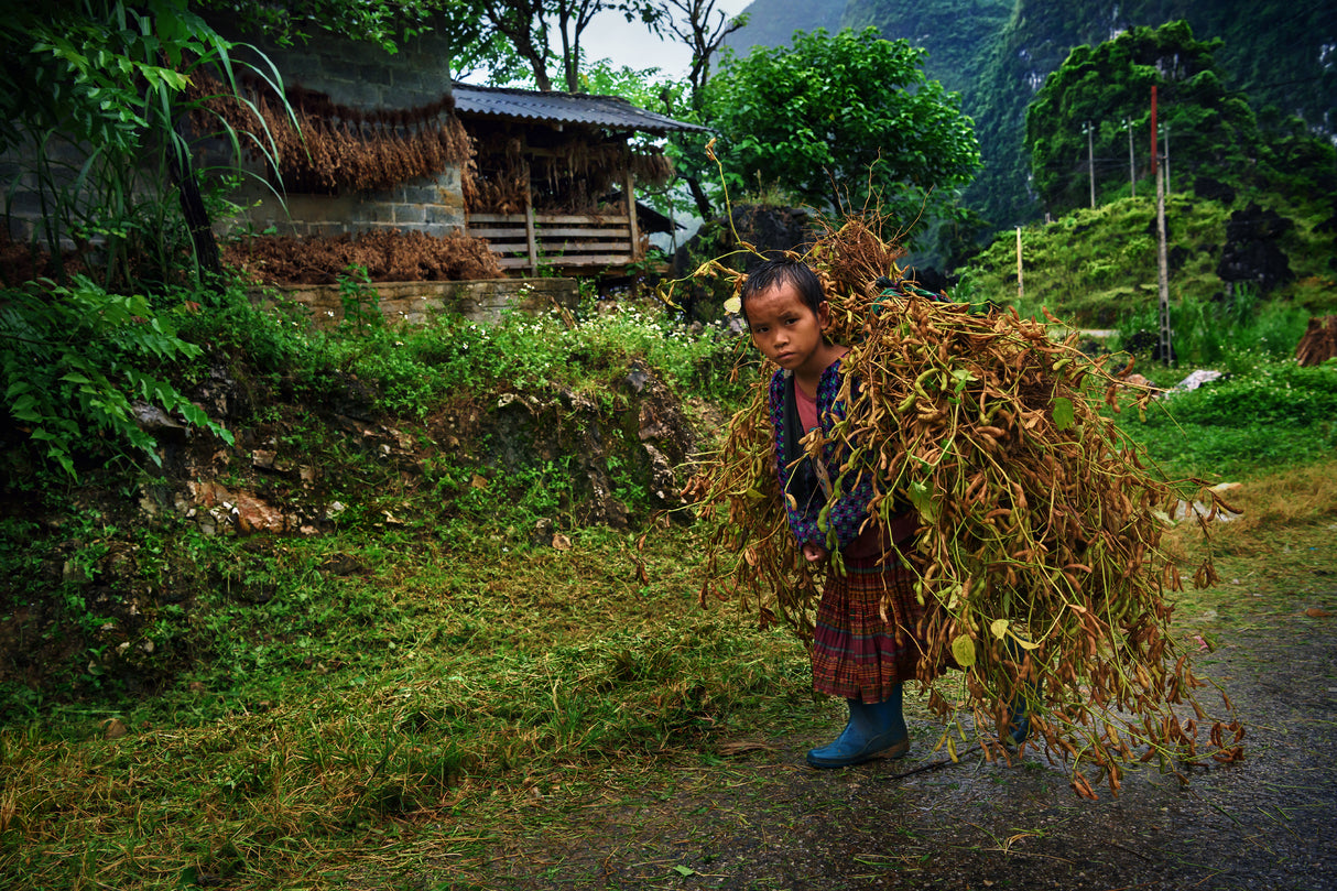 Childhood in Ha Giang Poster och Canvastavla