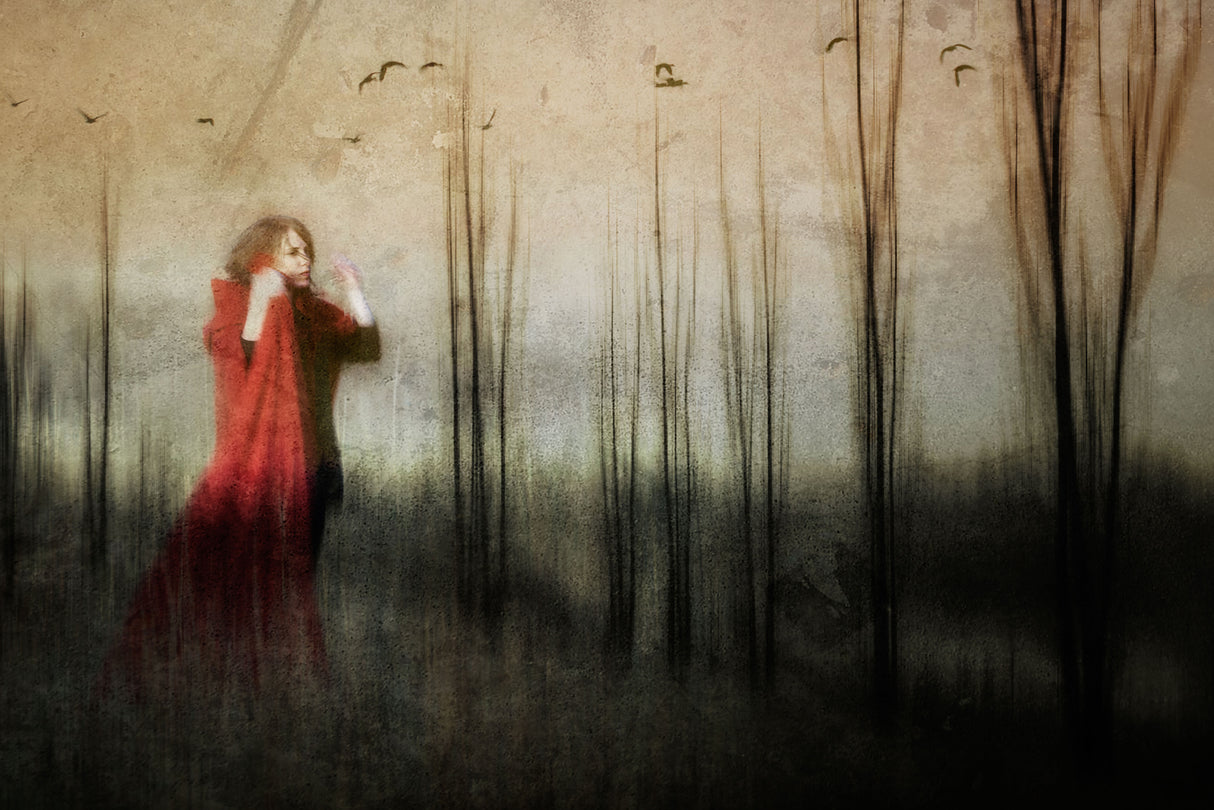 As a song in search of a voice that is silent Poster och Canvastavla