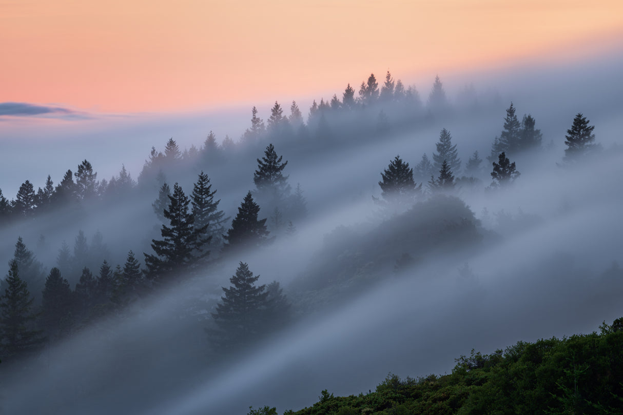 Mist Evening Poster och Canvastavla