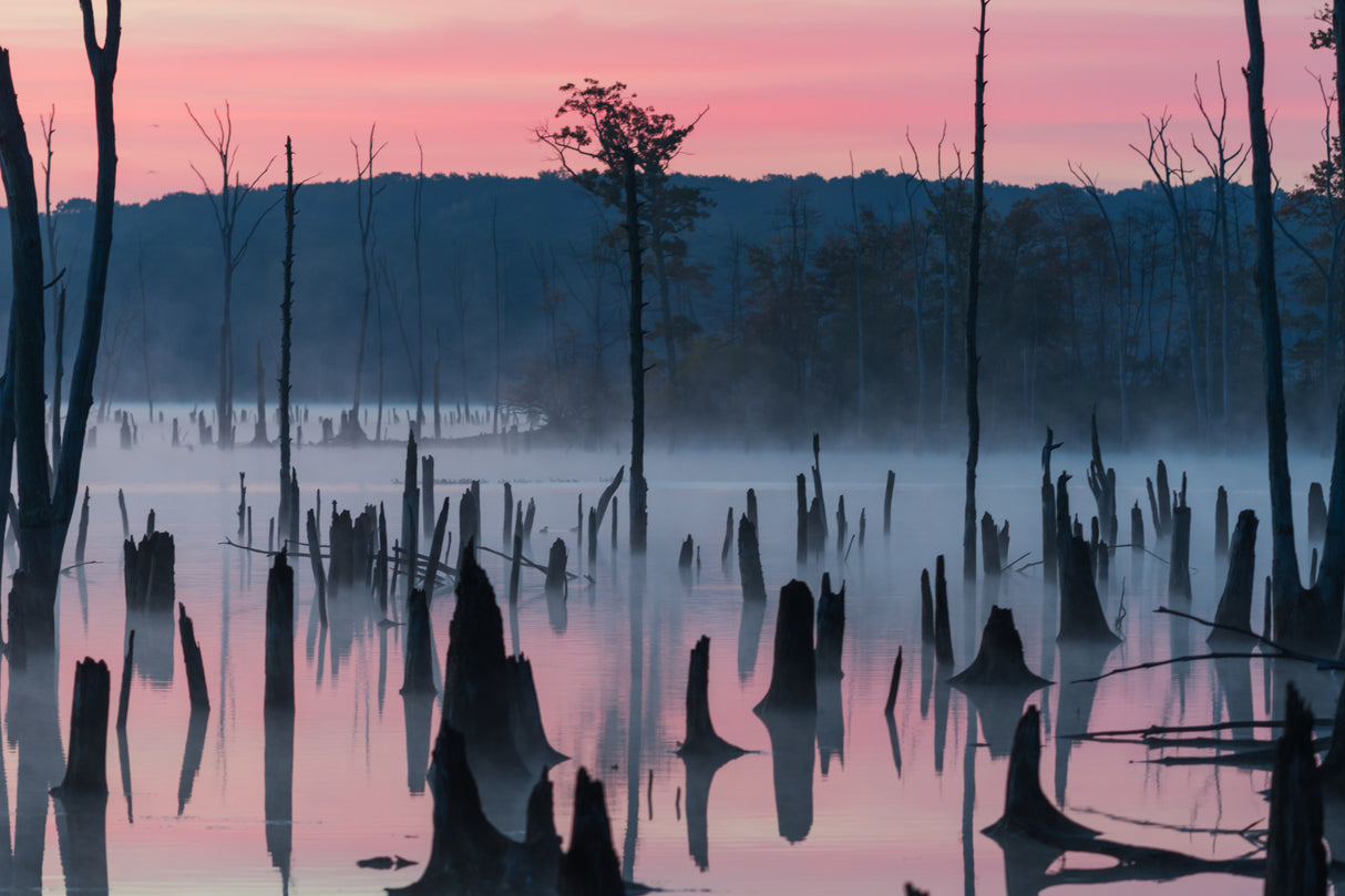 Lake @ Morning #2 Poster och Canvastavla