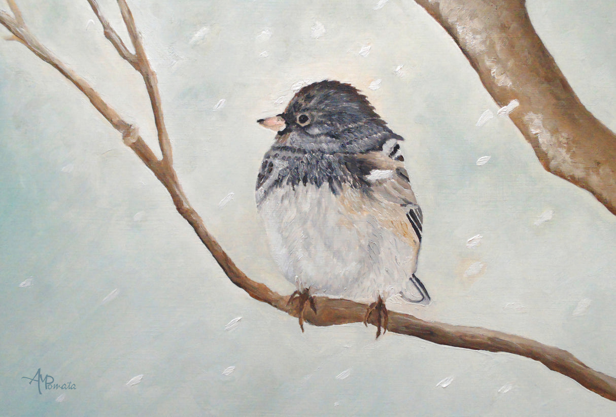 Snowbird In the Blizzard Poster och Canvastavla